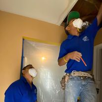 Westland Mold Inspection business image in Westland, MI